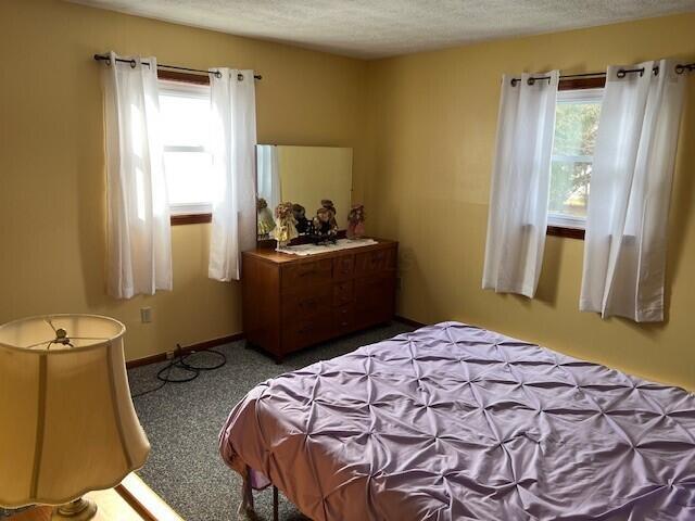 carpeted bedroom with multiple windows and a textured ceiling