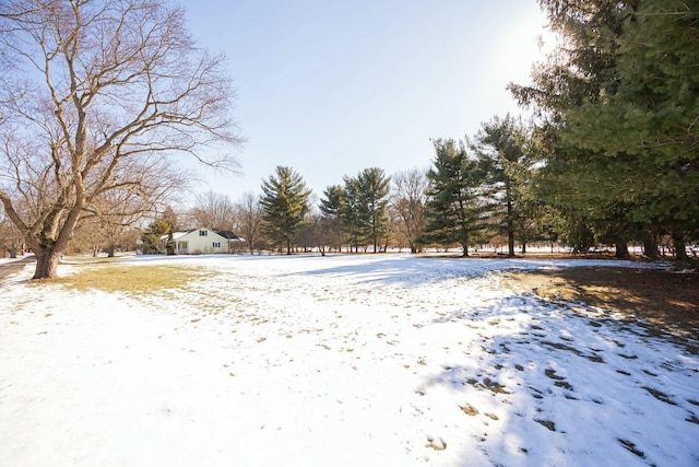 view of yard layered in snow