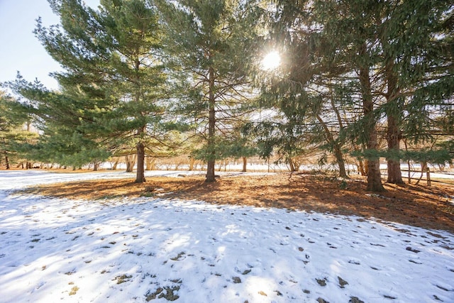 view of yard covered in snow