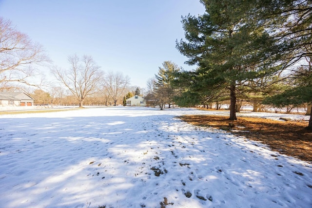 view of yard covered in snow