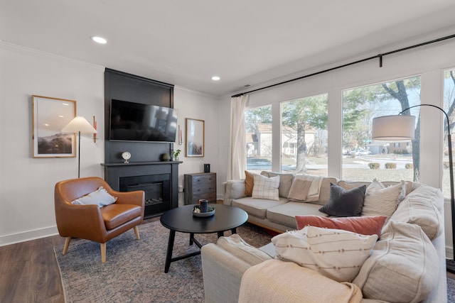 living room with dark hardwood / wood-style flooring, a fireplace, and ornamental molding