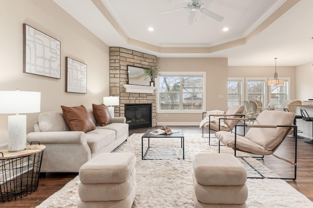 living room with a raised ceiling, crown molding, dark wood-type flooring, and a large fireplace