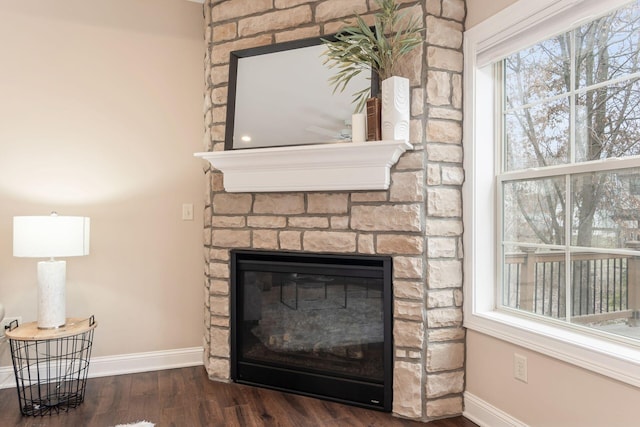 room details with a fireplace and wood-type flooring