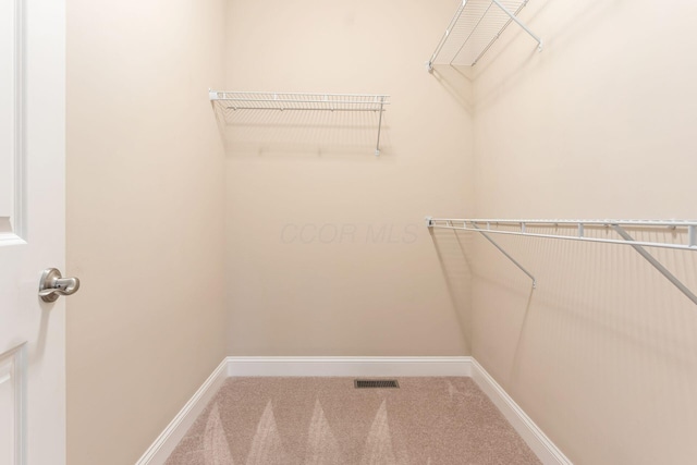 spacious closet featuring carpet flooring