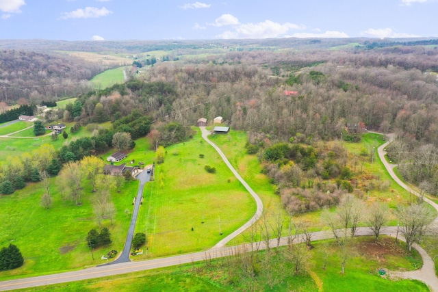 bird's eye view with a rural view