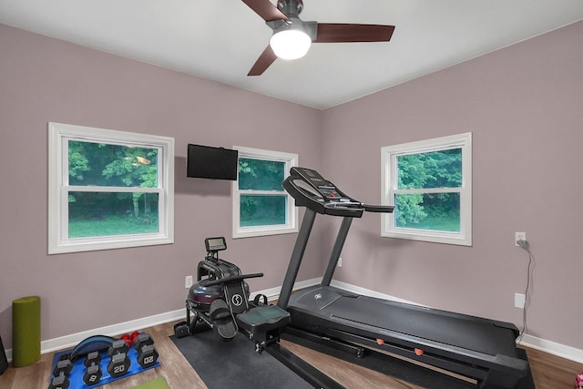 workout area with hardwood / wood-style flooring, ceiling fan, and a healthy amount of sunlight