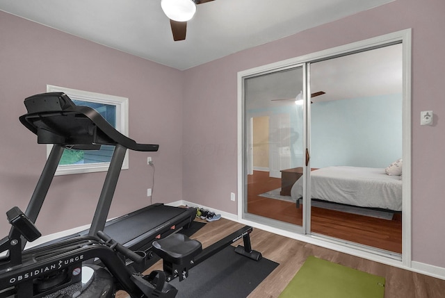 exercise area featuring ceiling fan and wood-type flooring