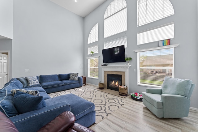 living area featuring wood finished floors, a high ceiling, and a wealth of natural light
