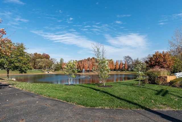 property view of water