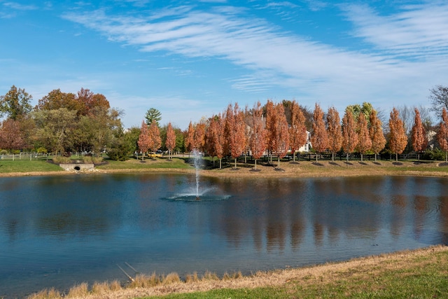 view of water feature