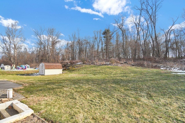 view of yard with a storage shed