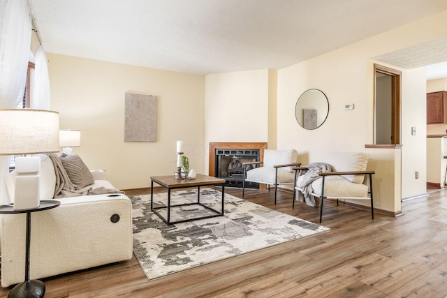 living room with light hardwood / wood-style flooring