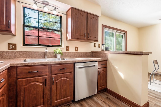 kitchen with stainless steel dishwasher, a healthy amount of sunlight, sink, and hardwood / wood-style floors