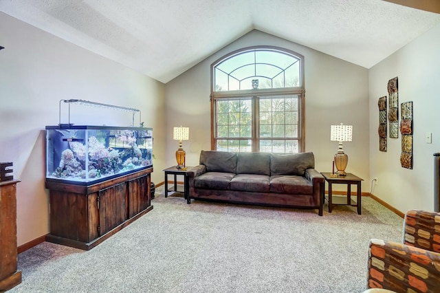 carpeted living room featuring lofted ceiling and a textured ceiling