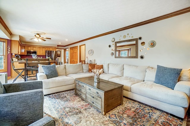 living room with sink, a textured ceiling, ornamental molding, and ceiling fan