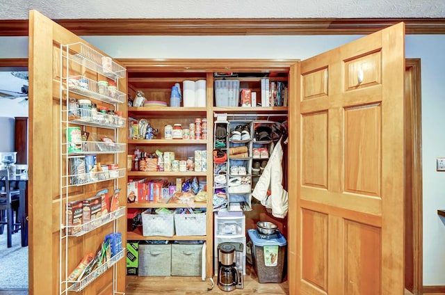 view of pantry