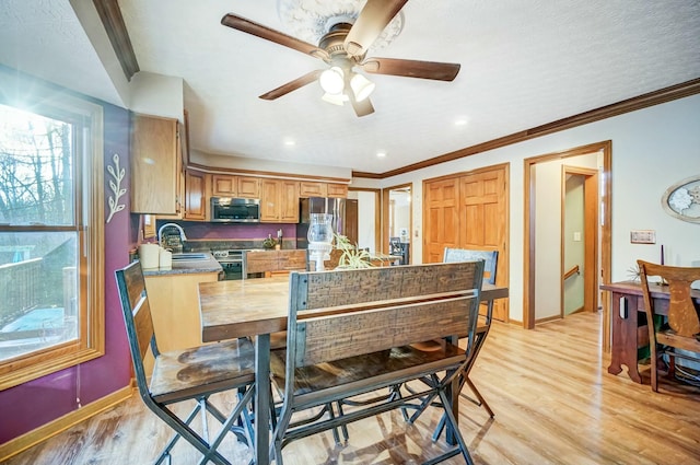 dining room featuring sink, crown molding, ceiling fan, light hardwood / wood-style floors, and a textured ceiling