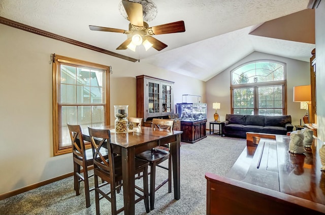 dining room featuring lofted ceiling, plenty of natural light, light colored carpet, and a textured ceiling