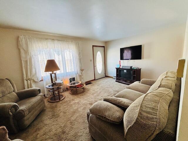 living room with carpet flooring