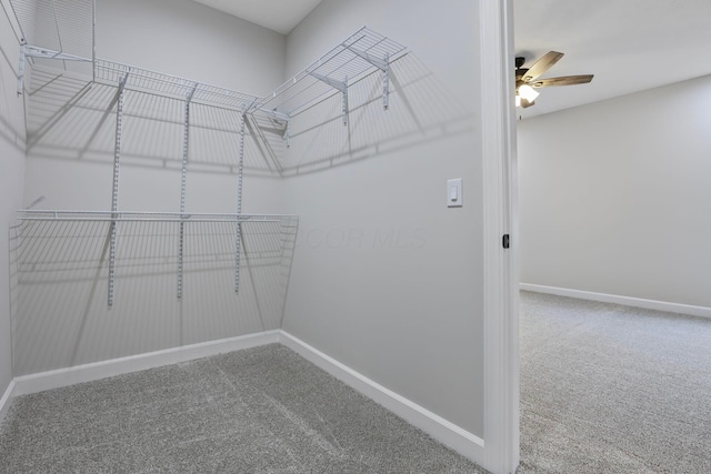 spacious closet with ceiling fan and carpet