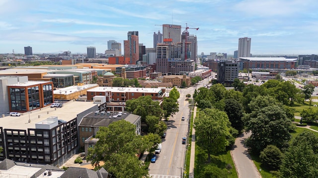 674 Park St, Columbus, OH 43215 - skyline view
