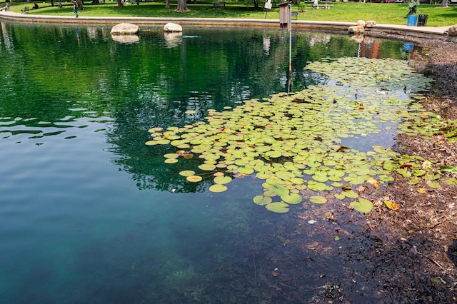 674 Park St, Columbus, OH 43215 - water view