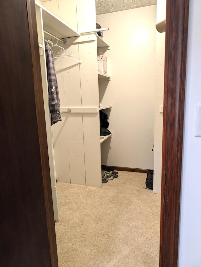 spacious closet with carpet