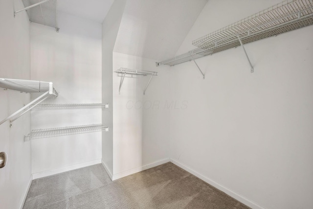 walk in closet featuring vaulted ceiling and carpet floors