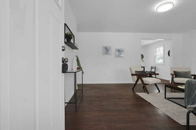 living room featuring dark hardwood / wood-style flooring