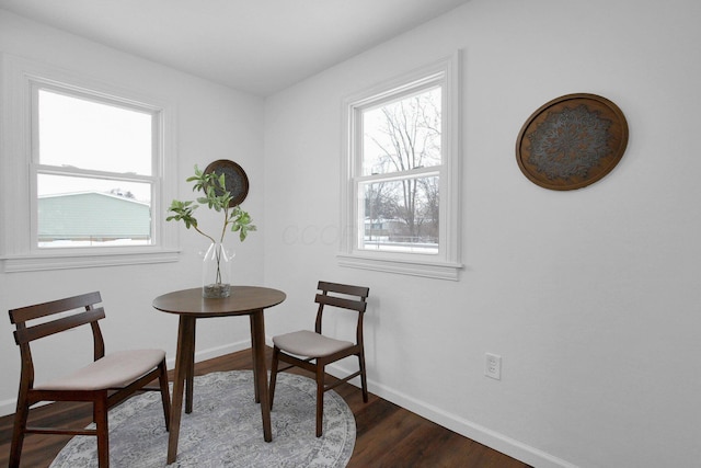 sitting room featuring dark hardwood / wood-style flooring