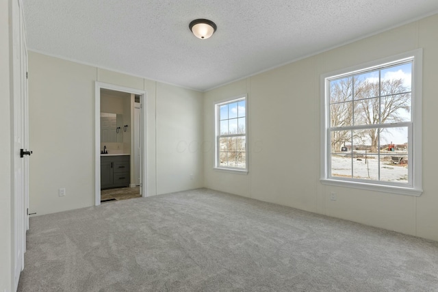 unfurnished bedroom featuring a sink, ensuite bathroom, a textured ceiling, and light colored carpet