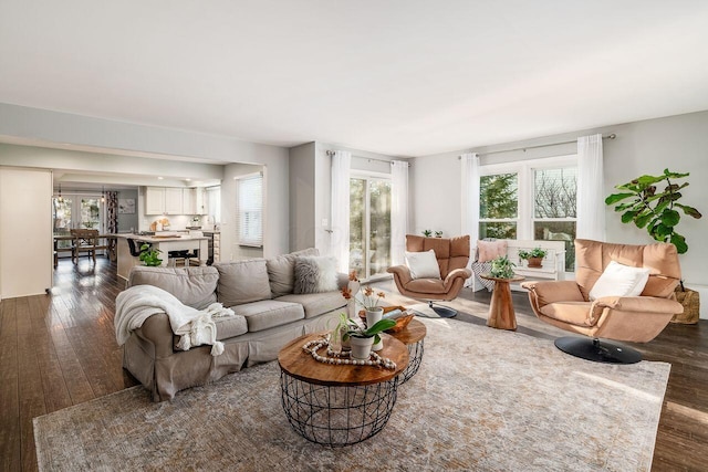 living room with dark wood-type flooring