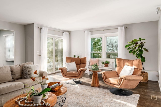 living room featuring dark wood-type flooring