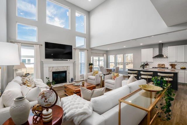 living room with sink, hardwood / wood-style floors, and a high end fireplace