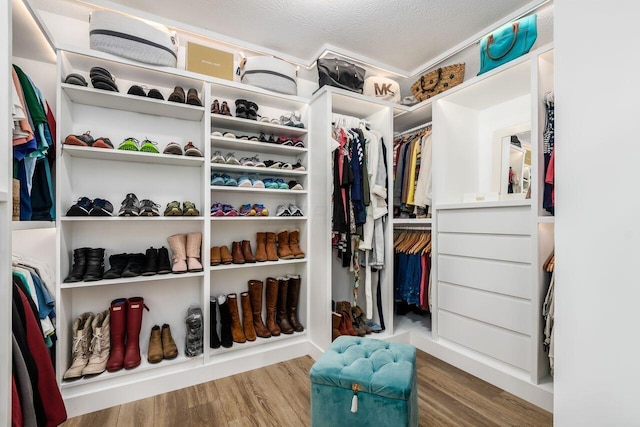 walk in closet with hardwood / wood-style flooring