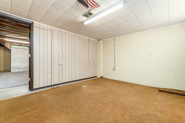 basement featuring carpet floors