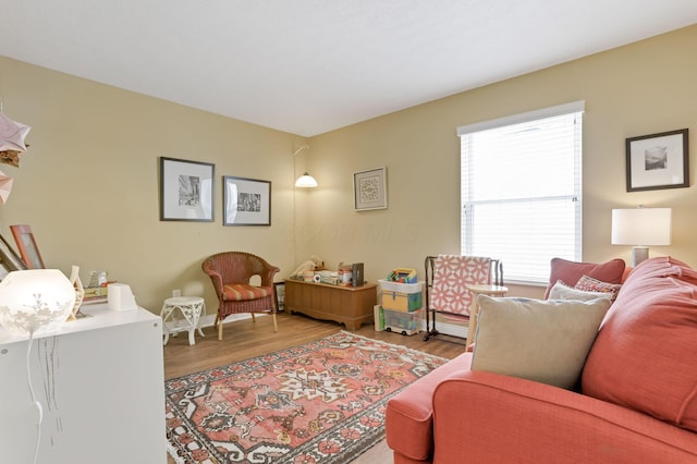 living room with hardwood / wood-style floors