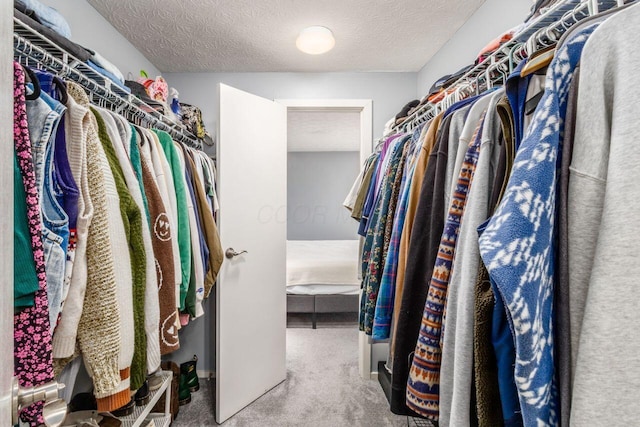 walk in closet with carpet flooring