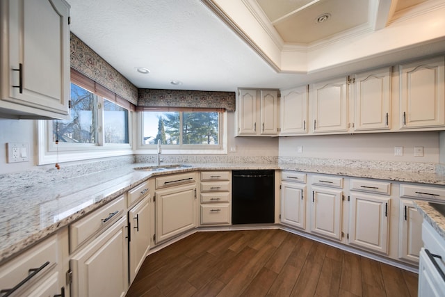 kitchen featuring ornamental molding, sink, light stone counters, and a tray ceiling