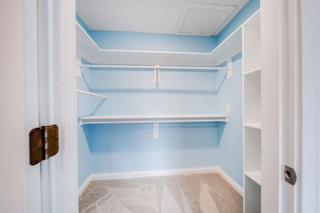 walk in closet featuring carpet