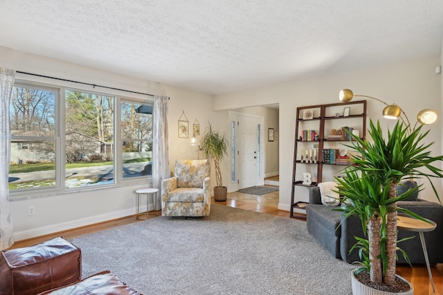 sitting room with hardwood / wood-style flooring and a textured ceiling