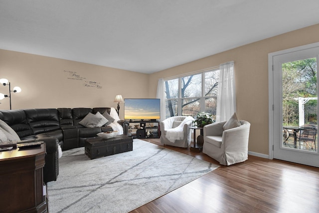 living room with hardwood / wood-style floors