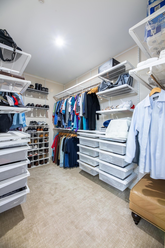 spacious closet with carpet flooring