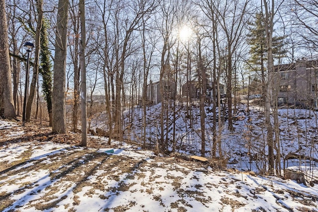 view of snowy landscape