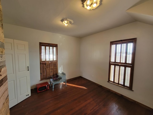 interior space featuring lofted ceiling and dark wood-type flooring