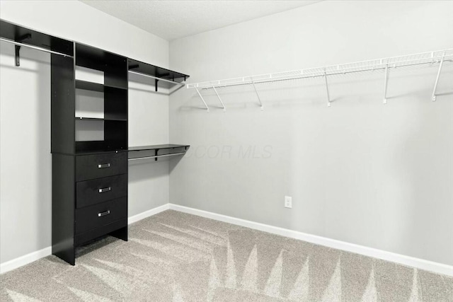 spacious closet featuring carpet floors