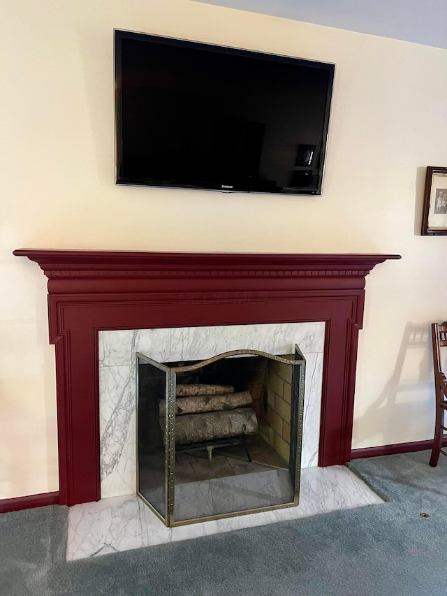 details featuring a tiled fireplace and carpet