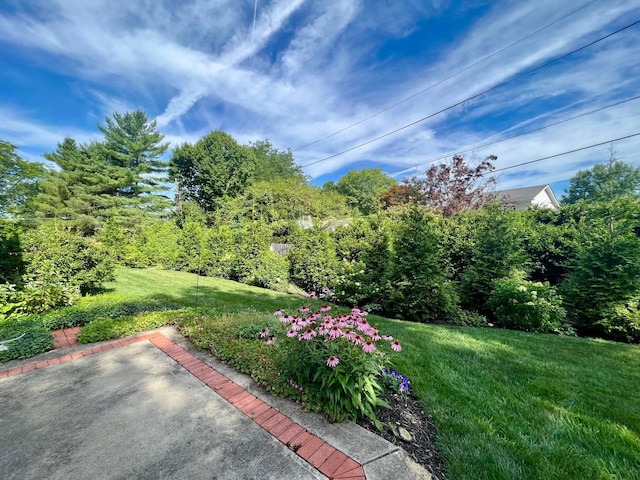 view of yard with a patio