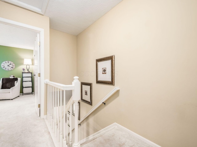 stairway featuring carpet floors and a textured ceiling