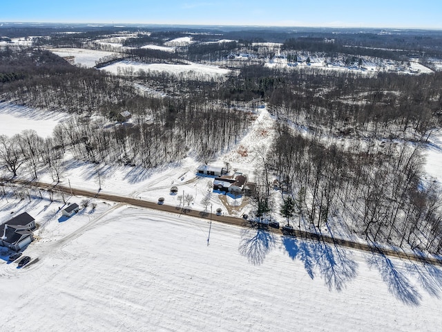 view of snowy aerial view